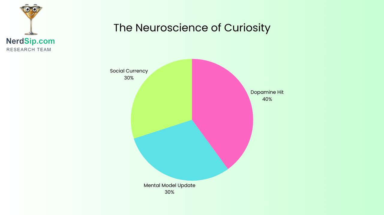 Feed your curiosity daily