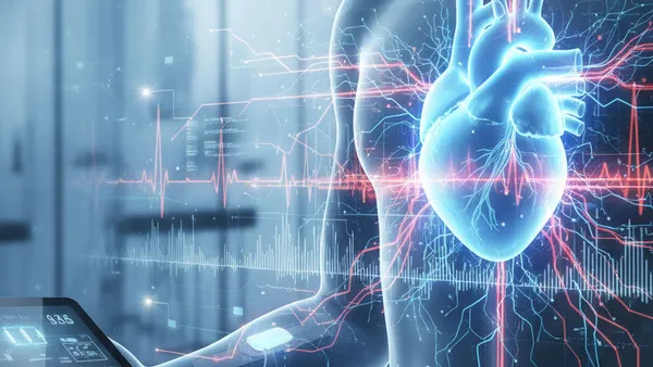 HRV-Mastery: Den Bio-Code der Performance entschlüsseln