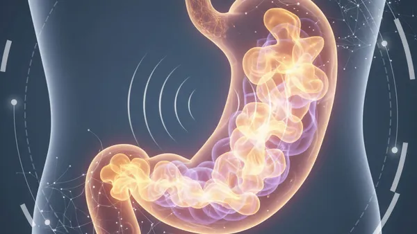 Magenknurren: Das Orchester im Bauch